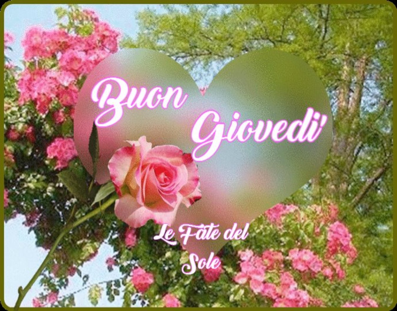 Buon Giovedì foto gratis 161 - Buongiorno-Immagini.it