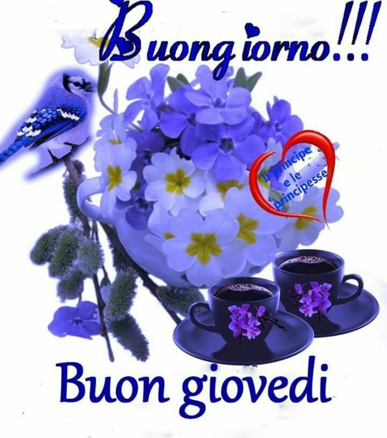 Buon Giovedì buongiorno immagini coi fiori 86