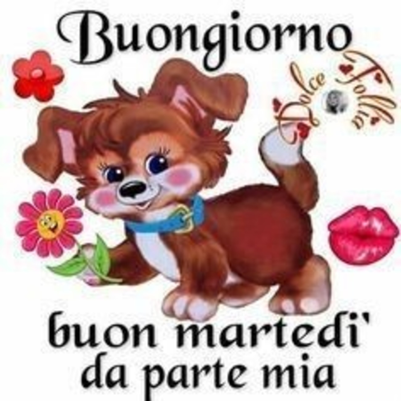 Buon Martedì Pinterest 71