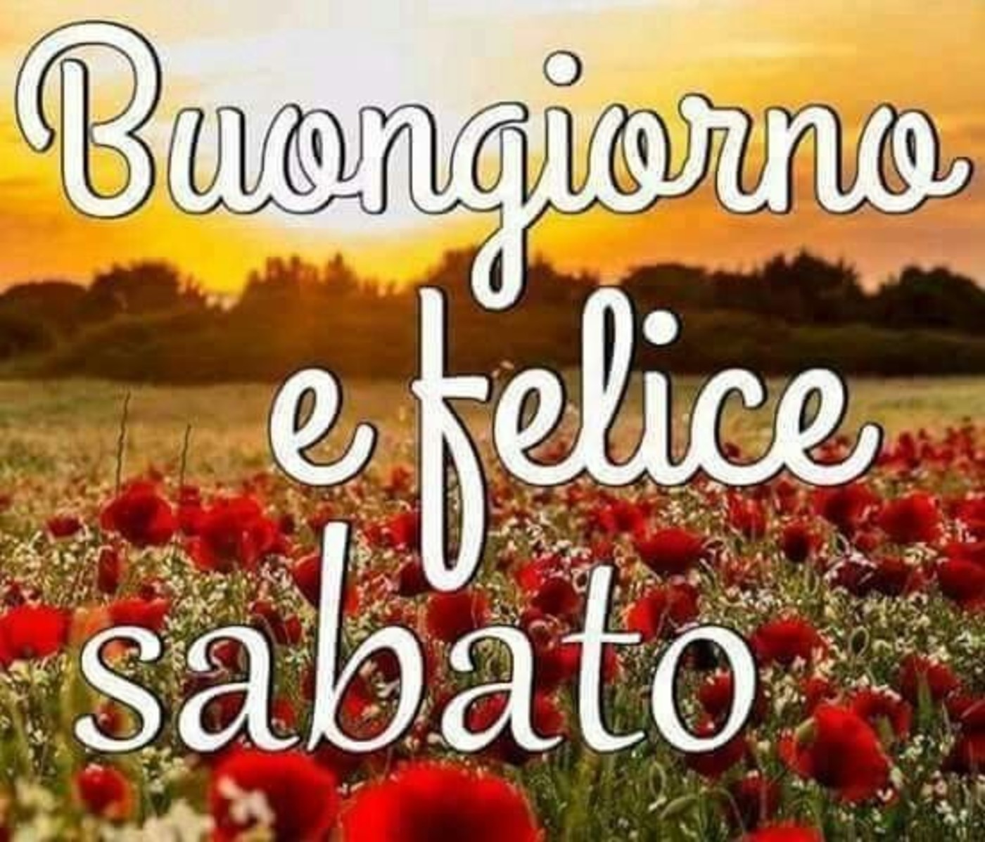 Buon Sabato Bellissime Immagini Da Mandare Su Facebook 162 Buongiorno Immaginiit 