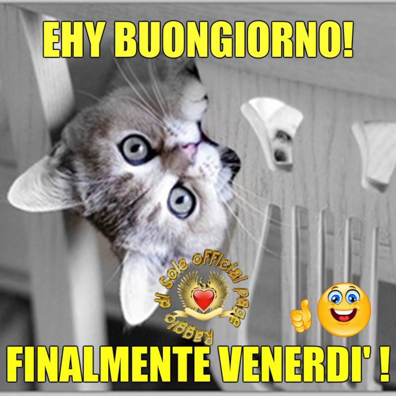 Buon Venerdì Pinterest 209