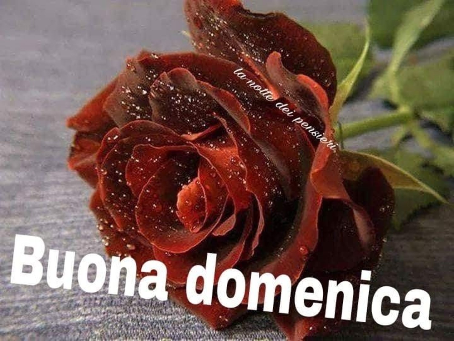 Buona Domenica Pinterest 272