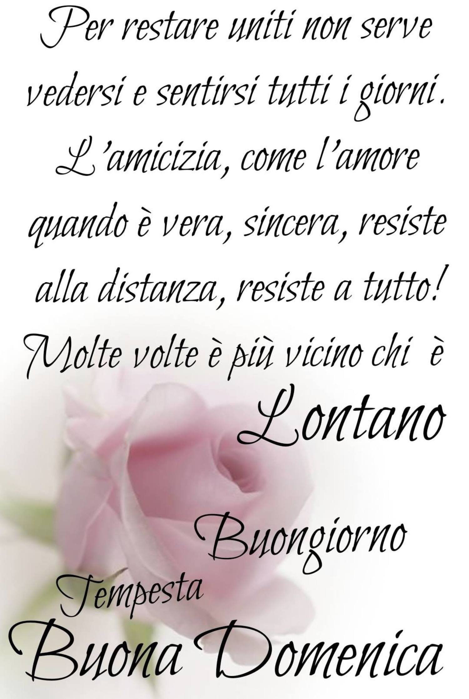 Buona Domenica buongiorno frasi da condividere 146