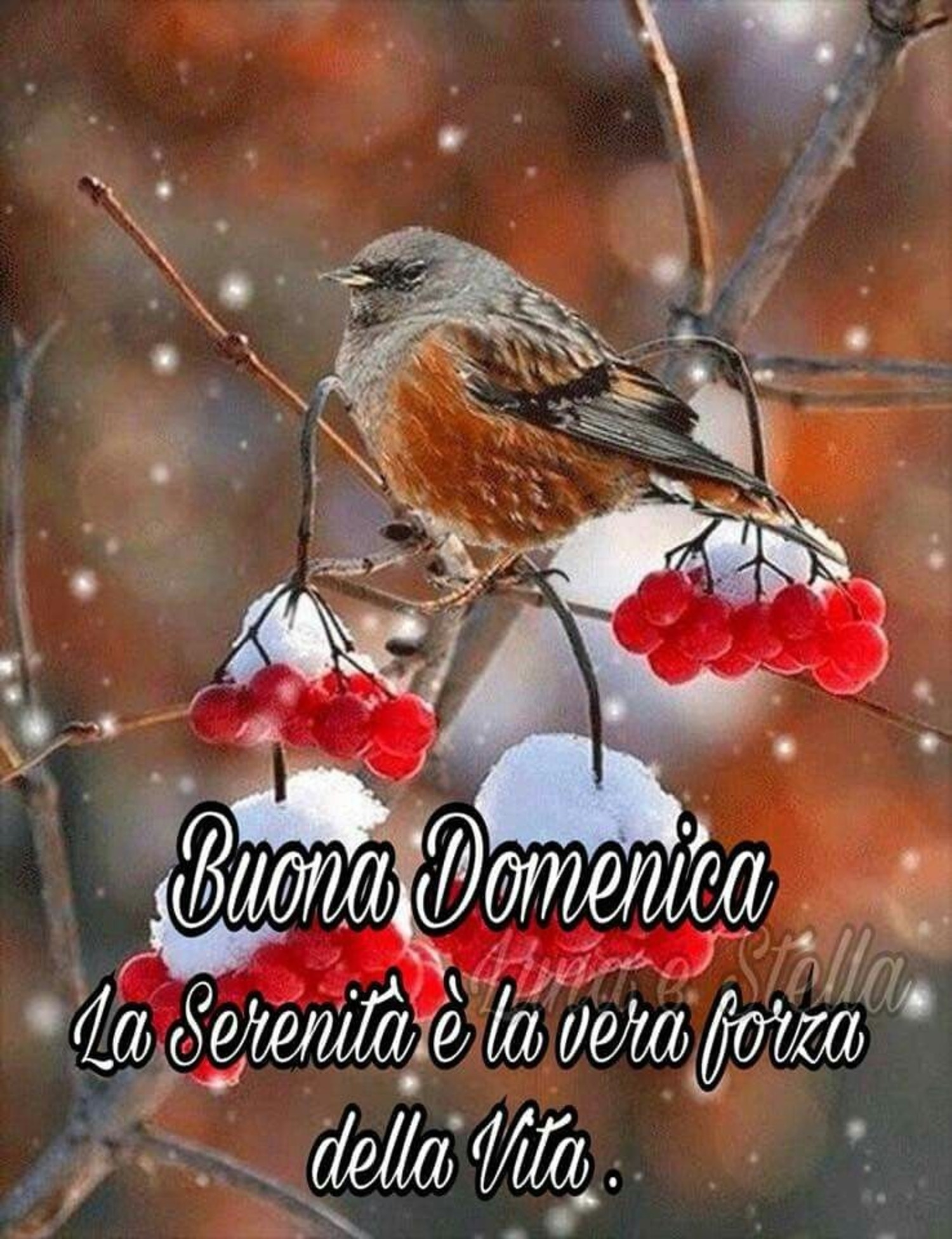 Buona Domenica x Facebook 90