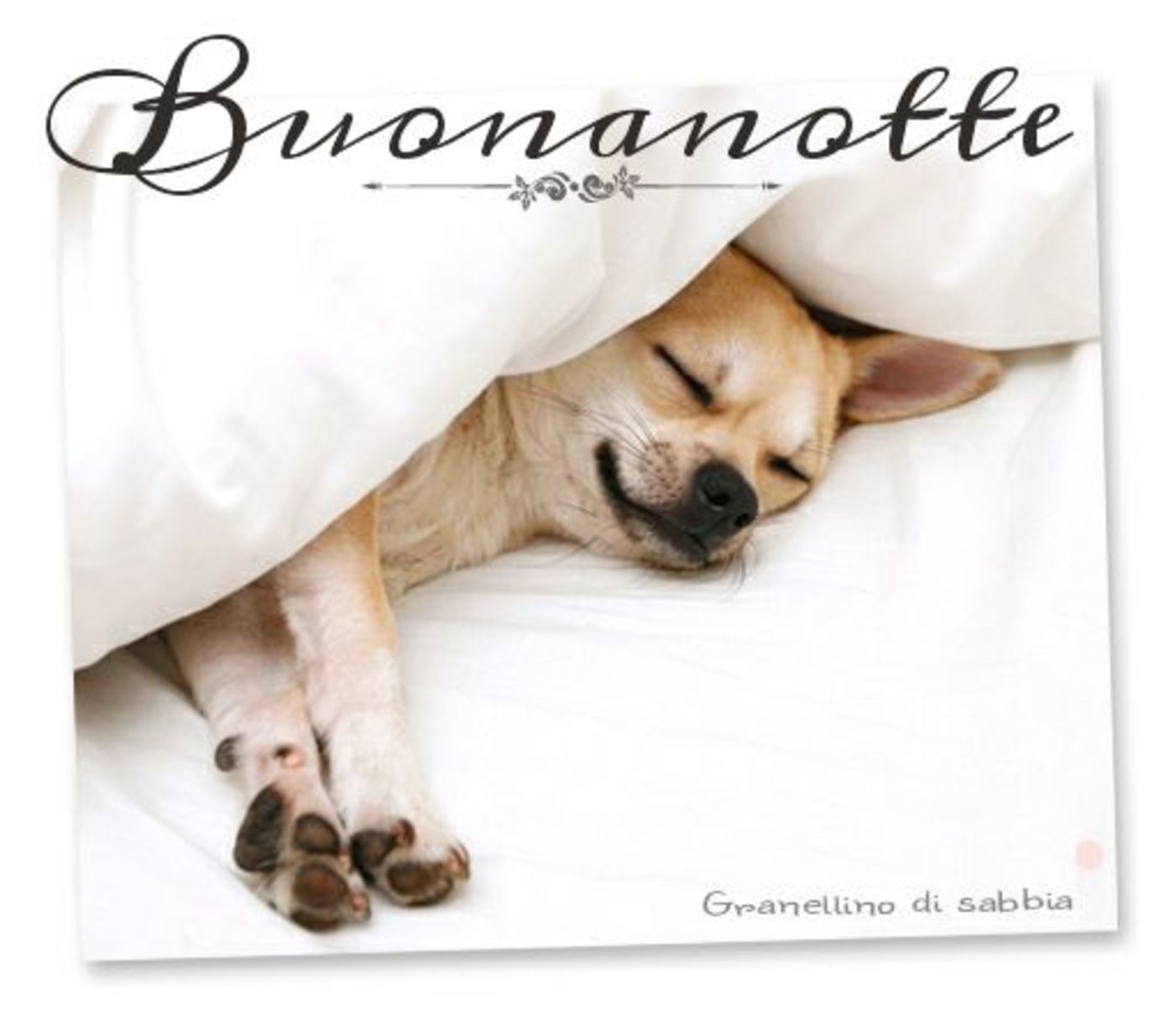 Buonanotte cane 379