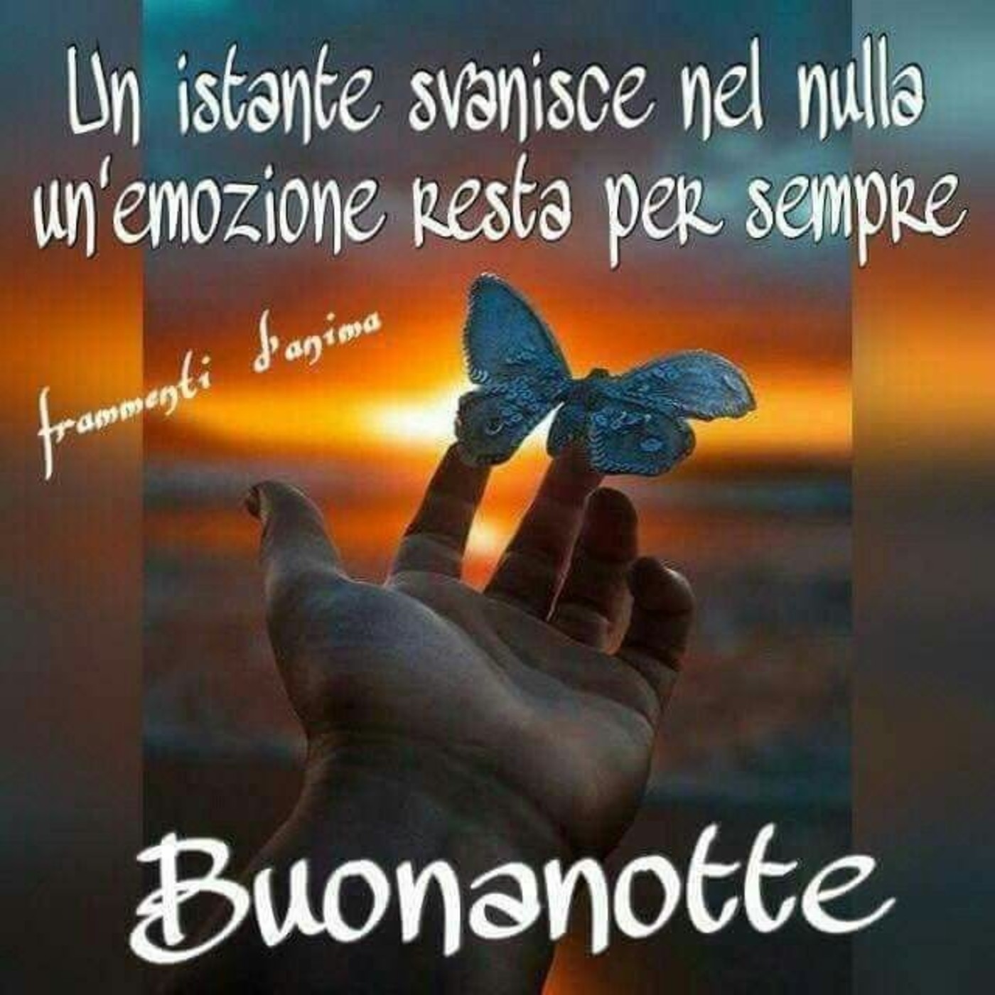 Buonanotte x persone speciali 937