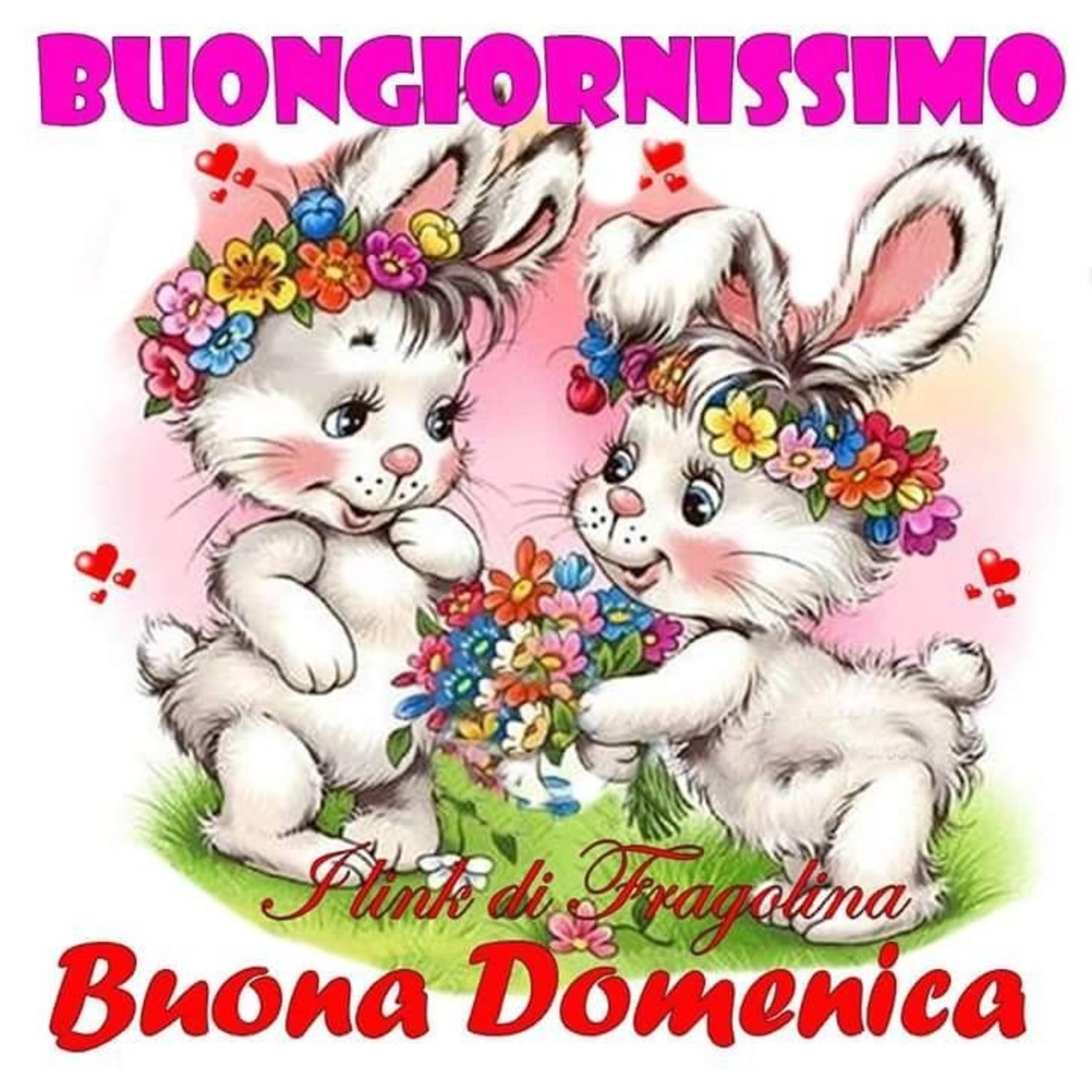 Buongiornissimo Buona Domenica 477