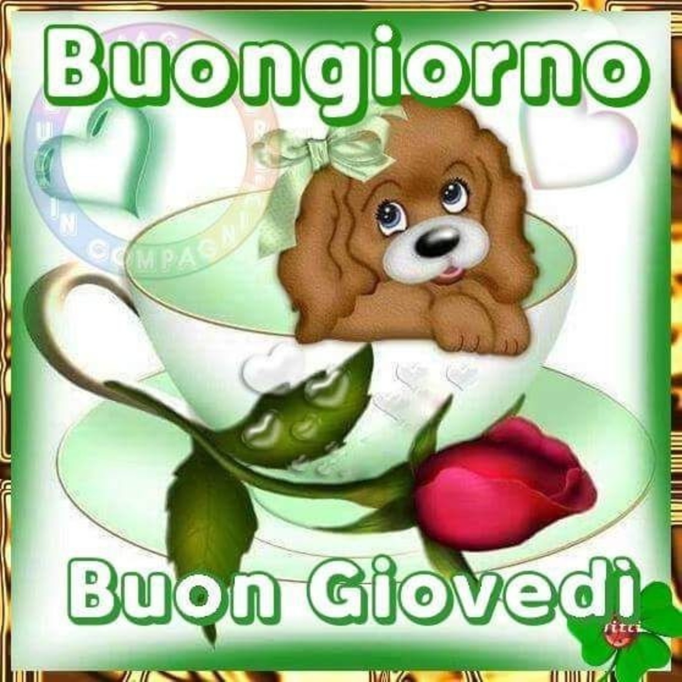 Buongiorno Buon Giovedì 226