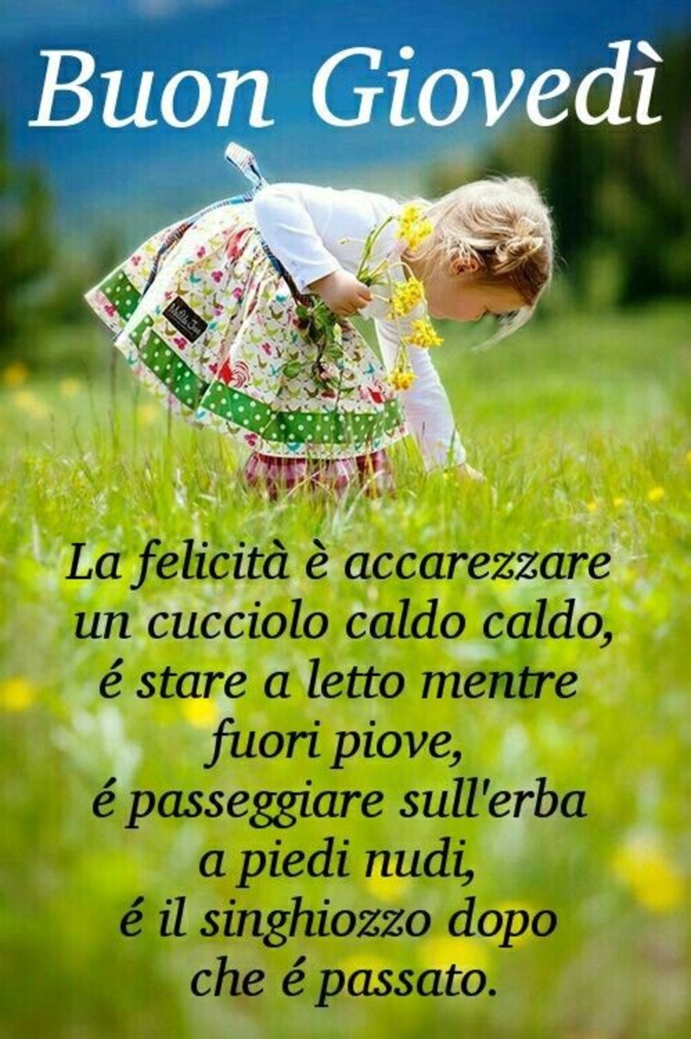 Buongiorno Buon Giovedì 227