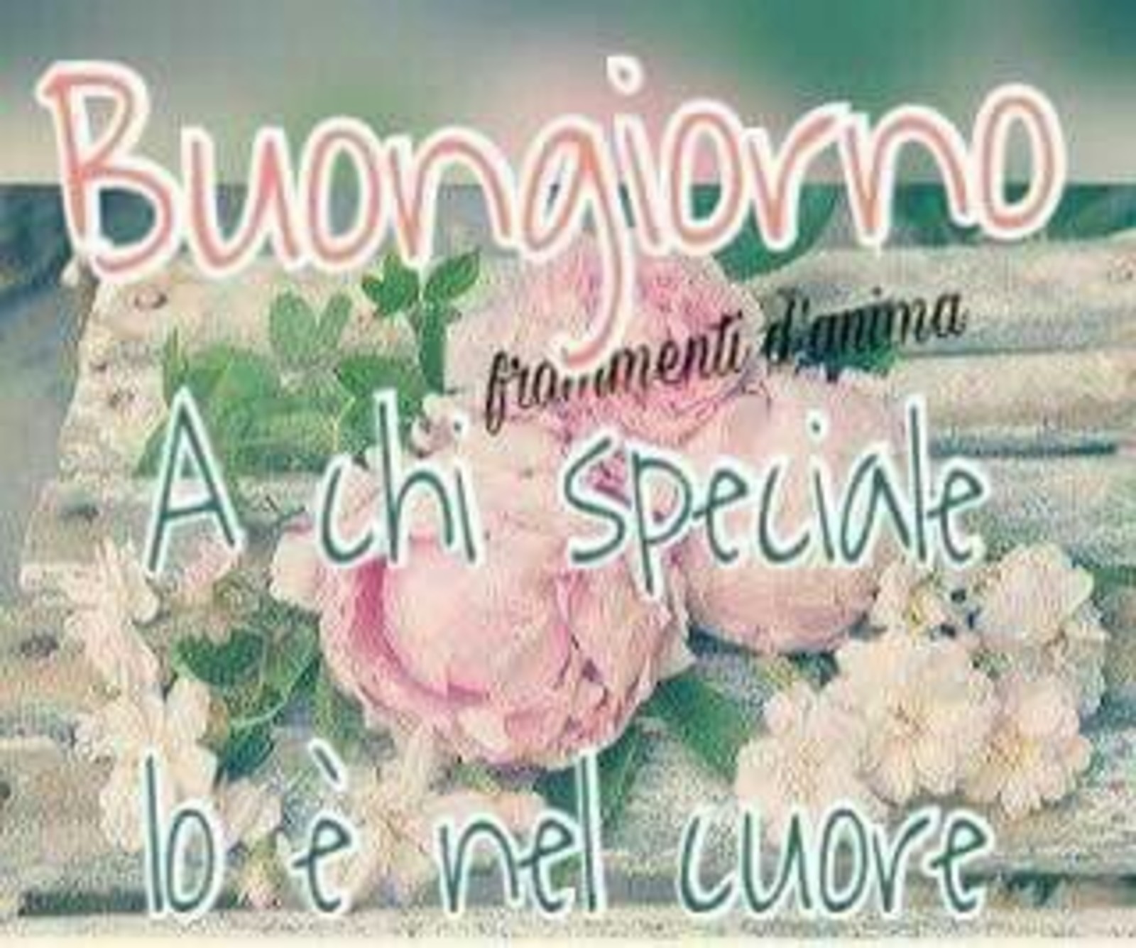 Buongiorno A Chi Speciale Lo E Nel Cuore Buongiorno Immagini It