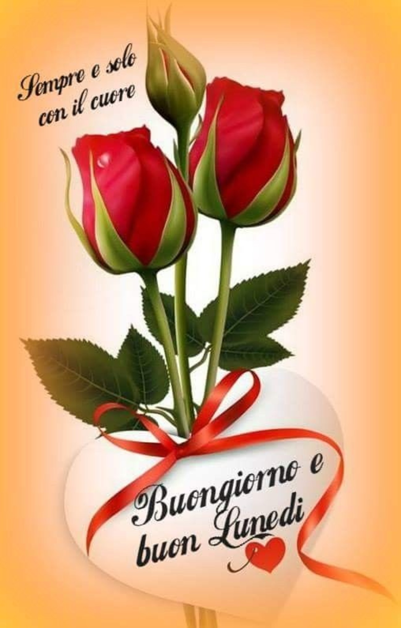 Buongiorno e Buon Lunedì con le rose rosse 86