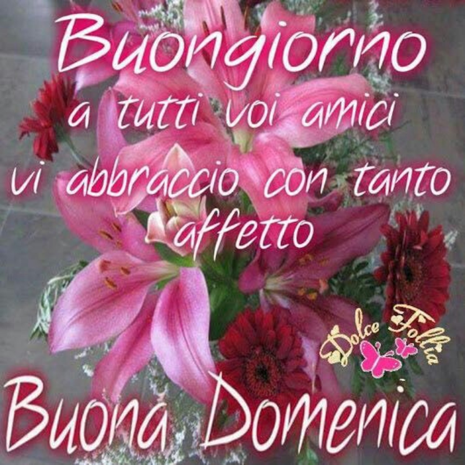 Domenica 102