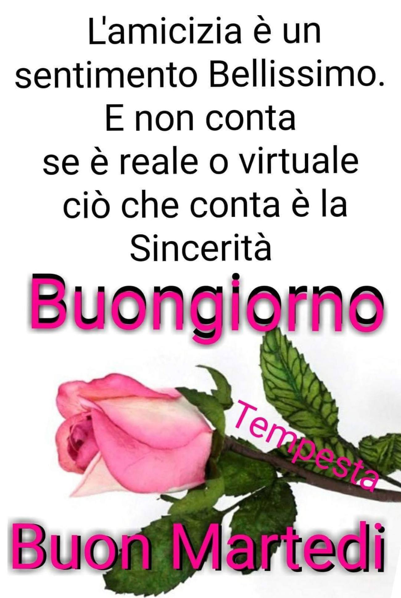 Frasi belle di Buon Martedì amici 192