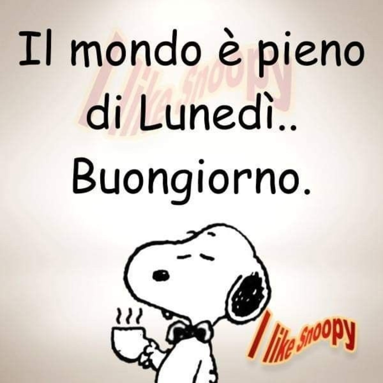 Frasi divertenti x Buon Lunedì 73