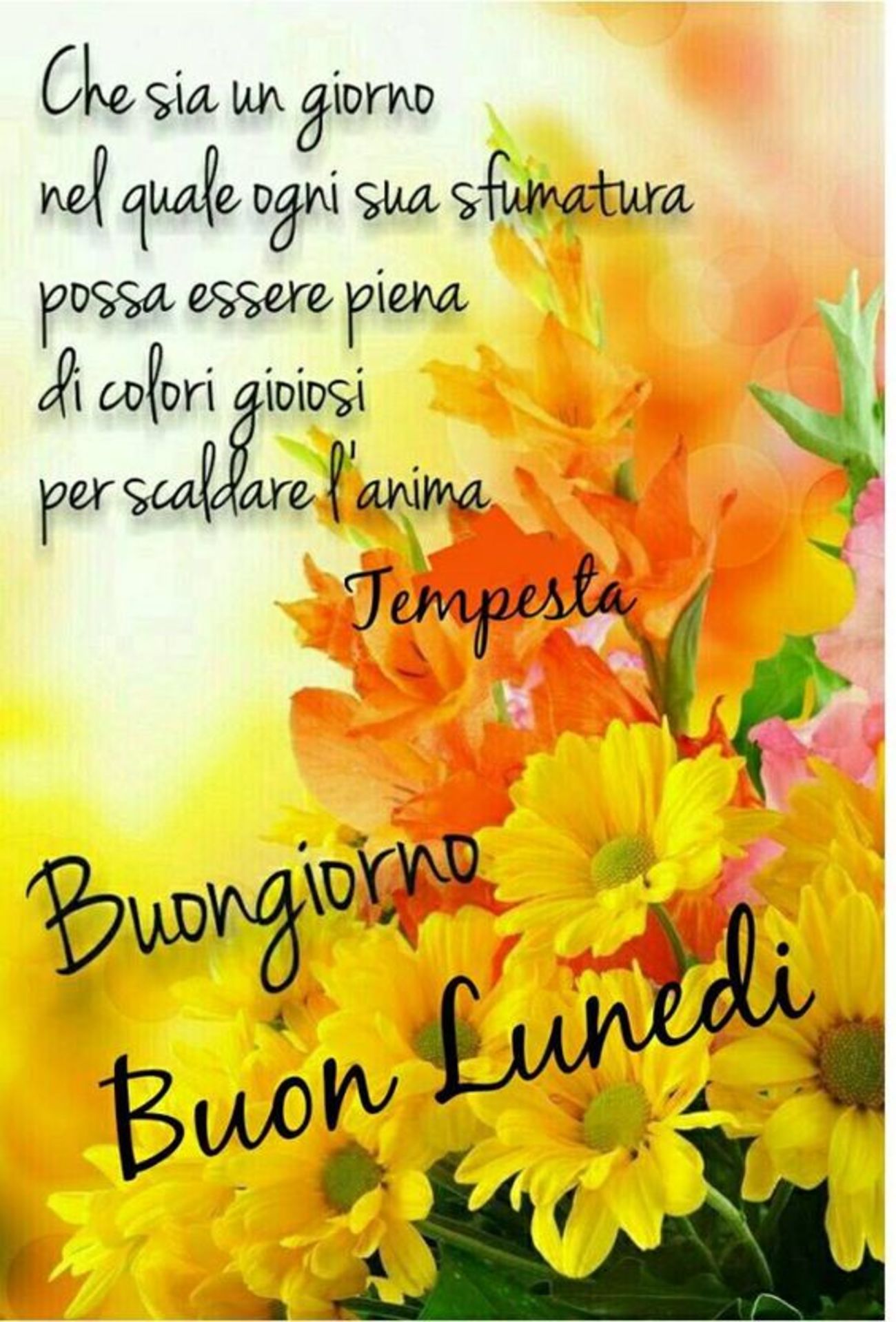 Immagini Di Buon Lunedi Amici Buongiorno Immagini It