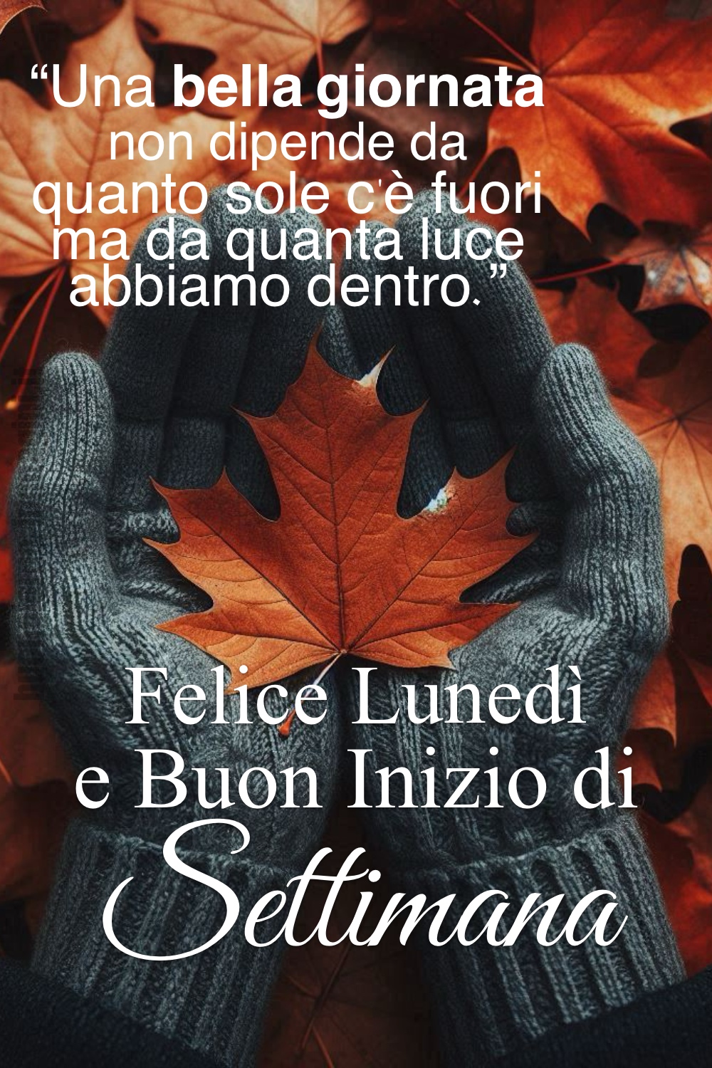 Una bella giornata non dipende da quanto sole c'è fuori ma da quanta luce abbiamo dentro. Felice Lunedì e Buon Inizio di Settimana