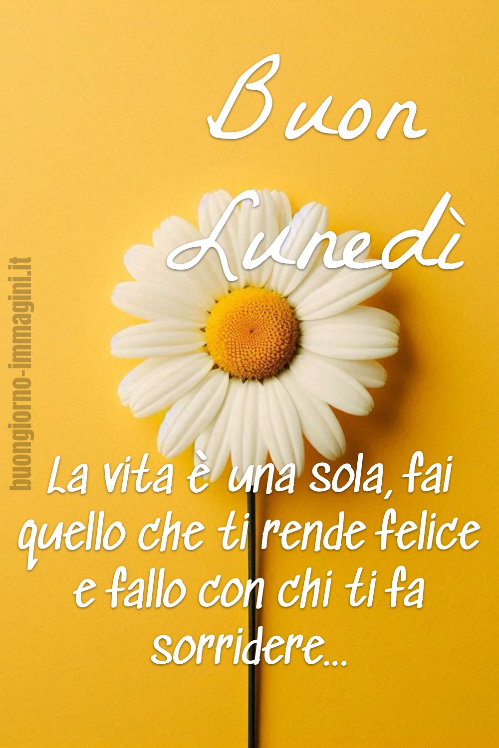 Buon Lunedì. La vita è una sola, fai quello che ti rende felice e fallo con chi ti fa sorridere...