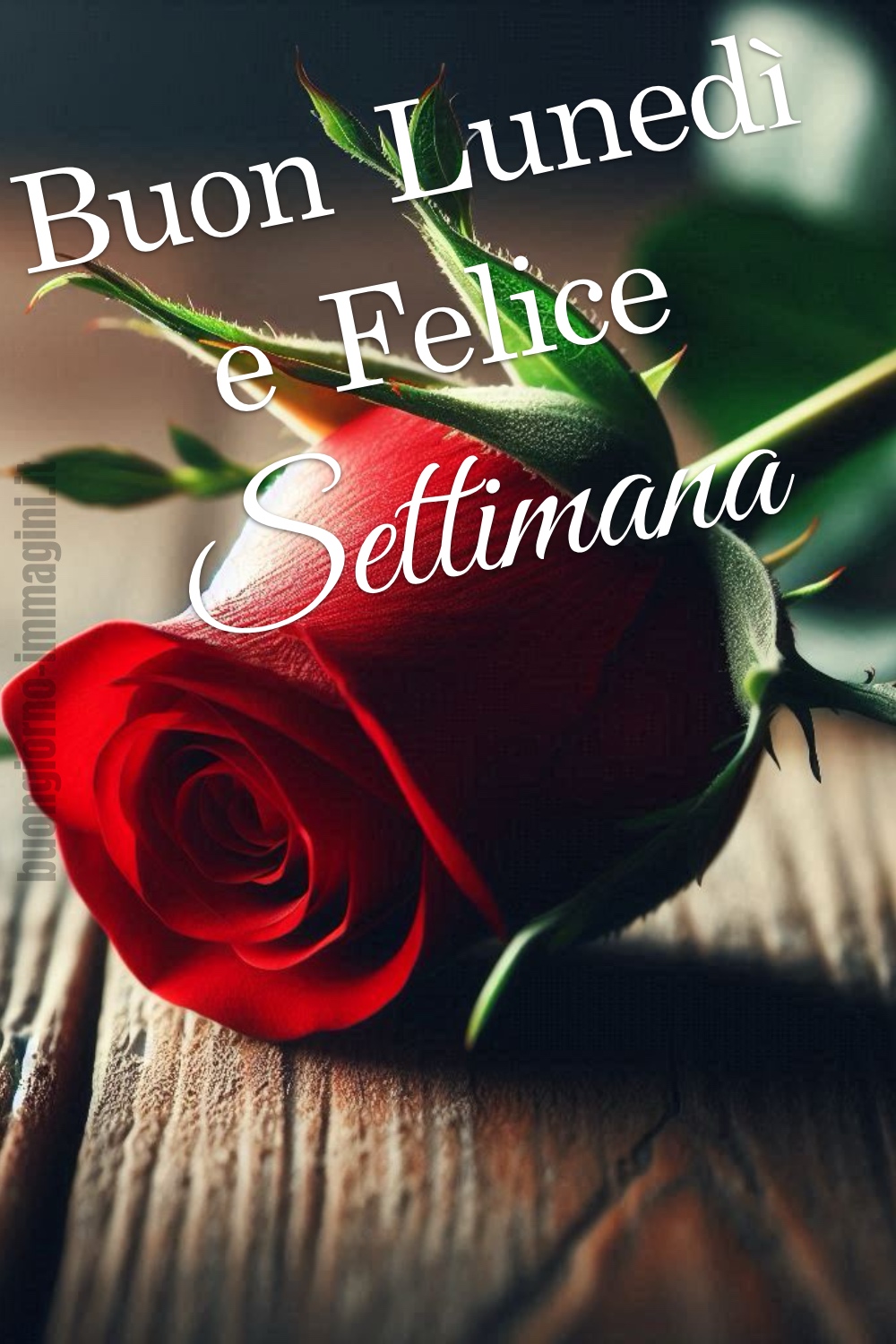 Buon Lunedì e Felice Settimana