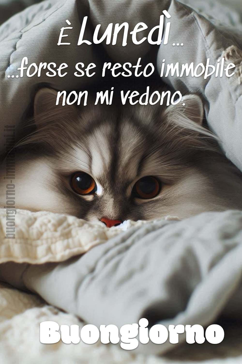 È Lunedì... forse se resto immobile non mi vedono. Buongiorno