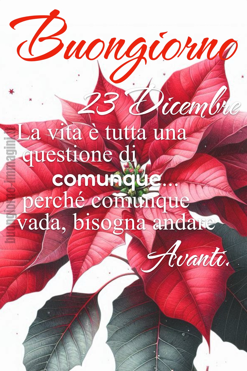 Buongiorno 23 Dicembre. La vita è tutta una questione di comunque... perché comunque vada, bisogna andare Avanti.